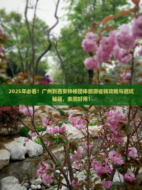 广州到西安钟楼团体旅游