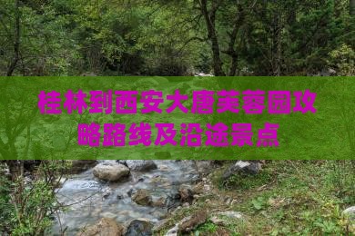 桂林到西安大唐芙蓉园攻略