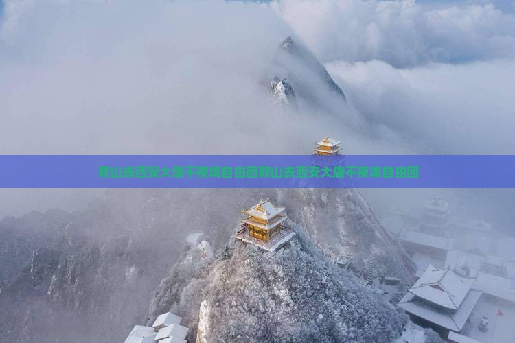 鞍山去西安大唐不夜城自由团