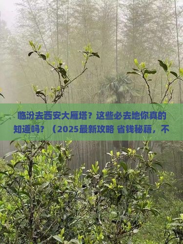 临汾去西安大雁塔必去地