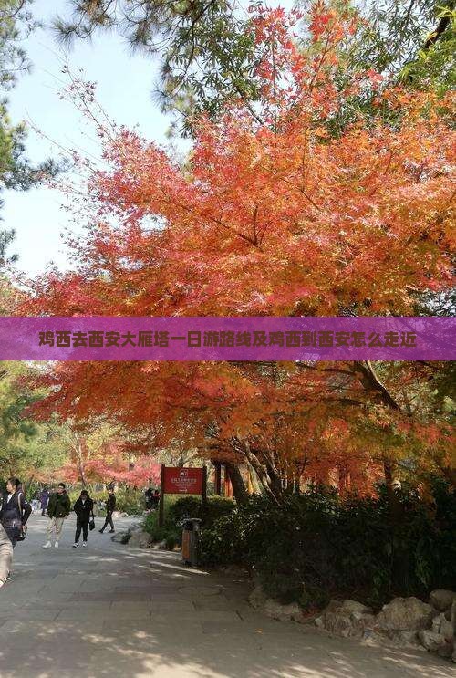 鸡西去西安大雁塔一日游