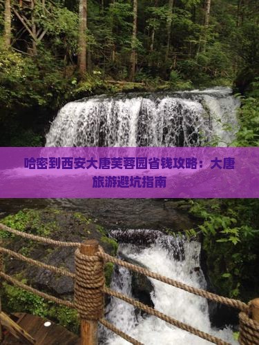 哈密去西安大唐芙蓉园个人游