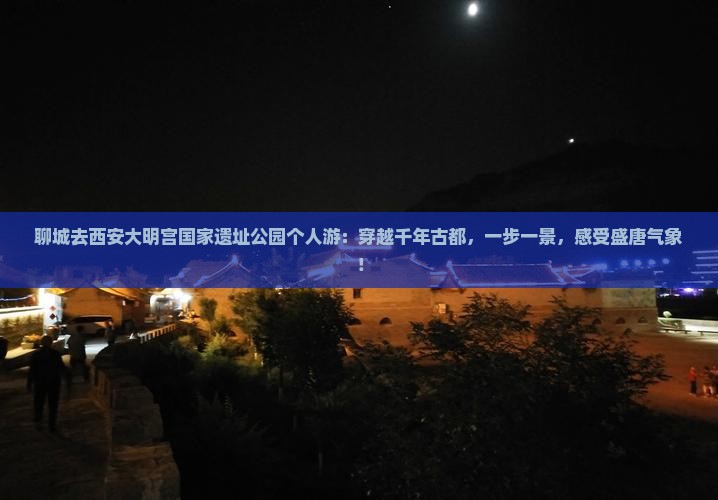 聊城去西安大明宫国家遗址公园个人游