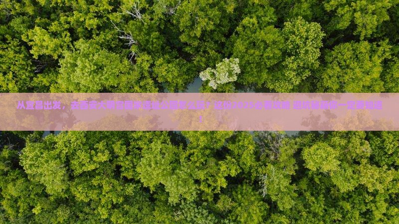 宜昌去西安大明宫国家遗址公园旅游