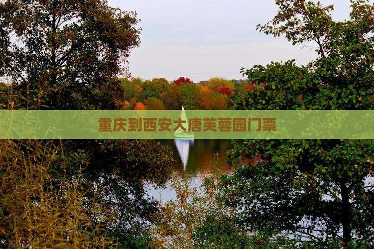 重庆到西安大唐芙蓉园门票