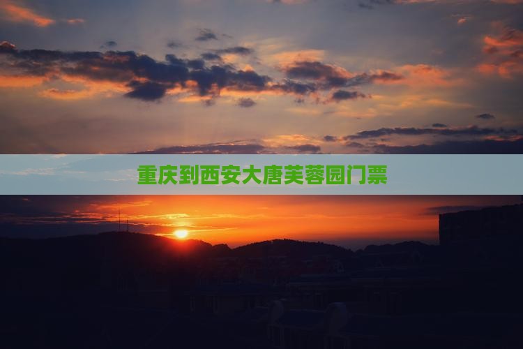 重庆到西安大唐芙蓉园门票