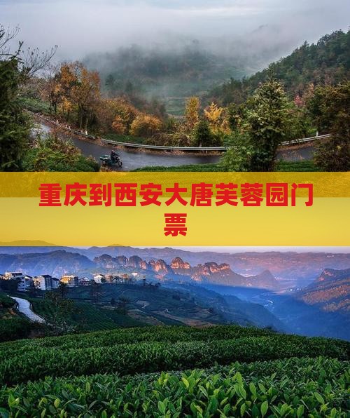 重庆到西安大唐芙蓉园门票