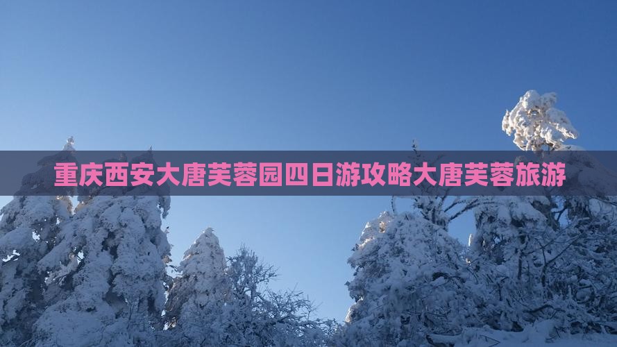 重庆到西安大唐芙蓉园四日游