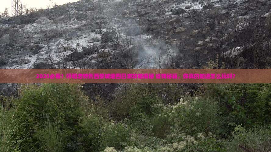 呼和浩特到西安城墙四日游