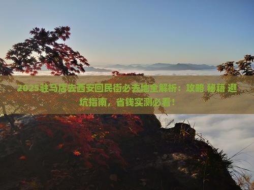 驻马店去西安回民街必去地