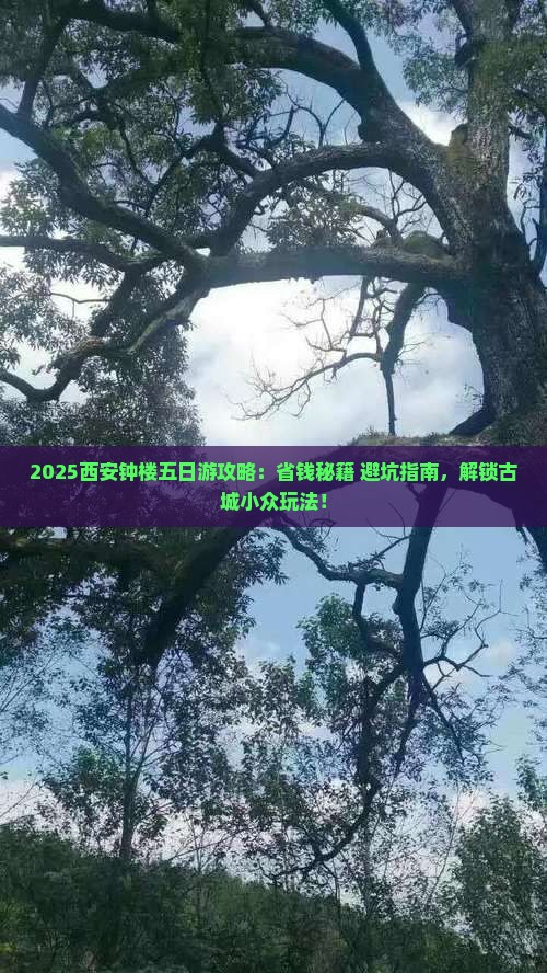 六月到西安钟楼五日游