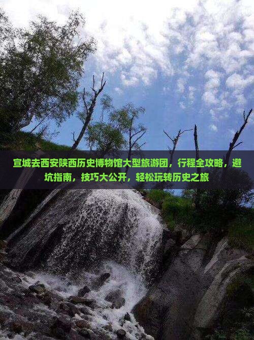 宣城去西安陕西历史博物馆大型旅游团