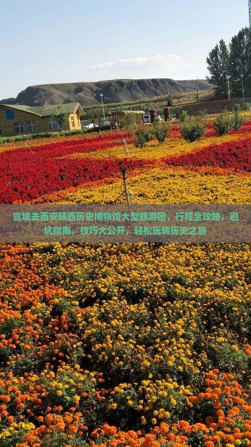 宣城去西安陕西历史博物馆大型旅游团