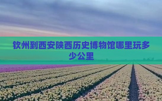 钦州到西安陕西历史博物馆哪里玩