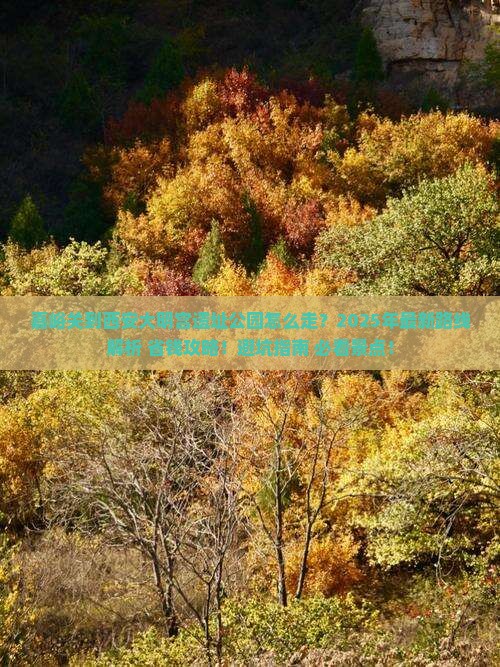 嘉峪关到西安大明宫国家遗址公园旅游