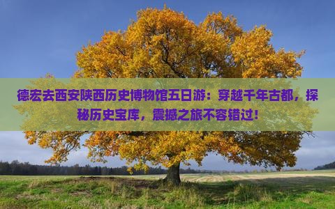 德宏去西安陕西历史博物馆五日游