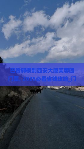 巴音郭楞到西安大唐芙蓉园门票