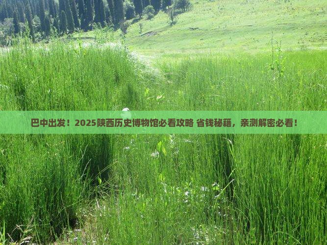 巴中去西安陕西历史博物馆大型旅游团