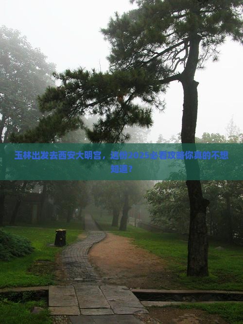 玉林到西安大明宫国家遗址公园大型旅游团