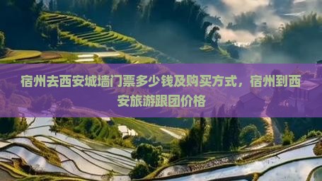 宿州去西安城墙门票