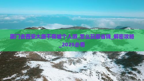 厦门去西安大唐不夜城个人游