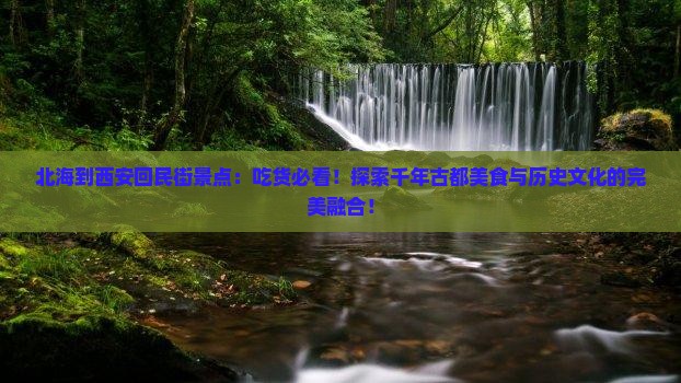 北海到西安回民街景点