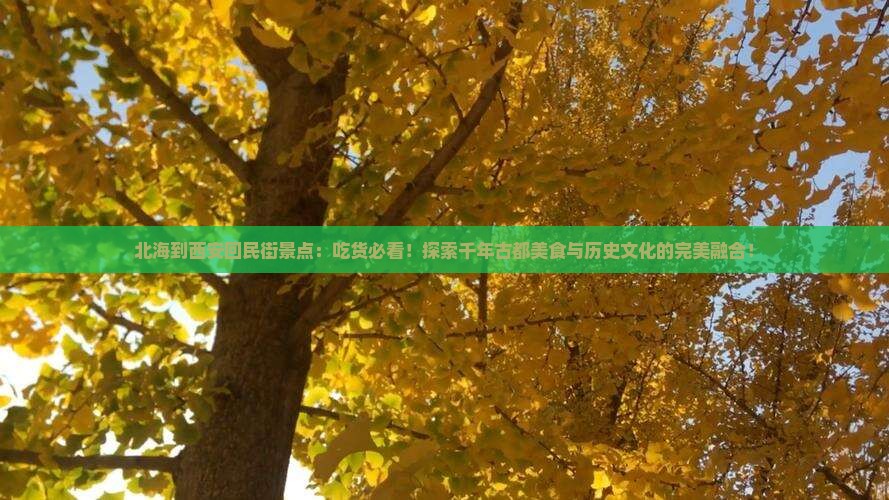 北海到西安回民街景点
