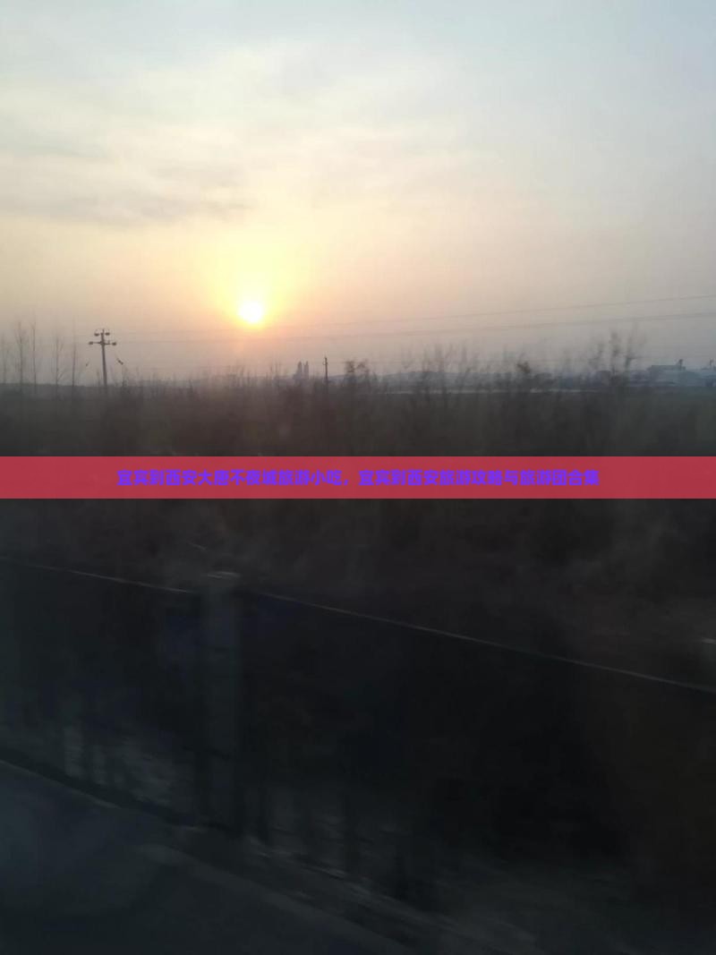 宜宾到西安大唐不夜城旅游小吃