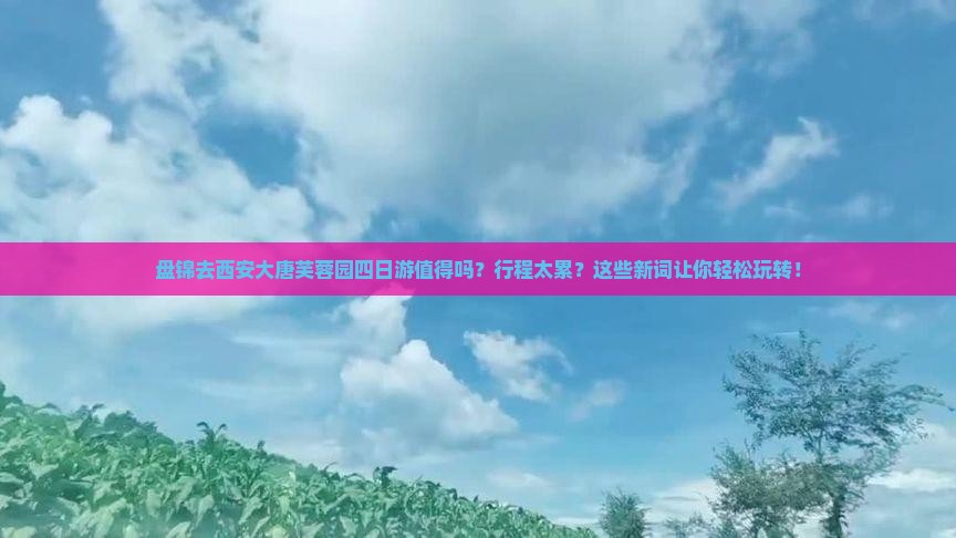 盘锦去西安大唐芙蓉园四日游