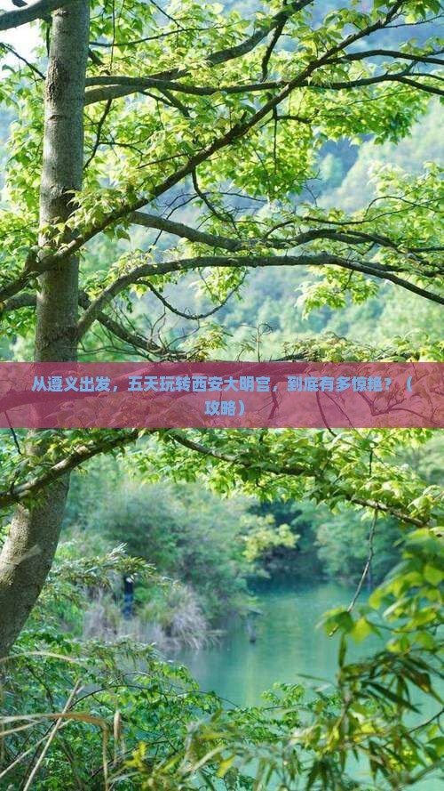 遵义到西安大明宫国家遗址公园五日游