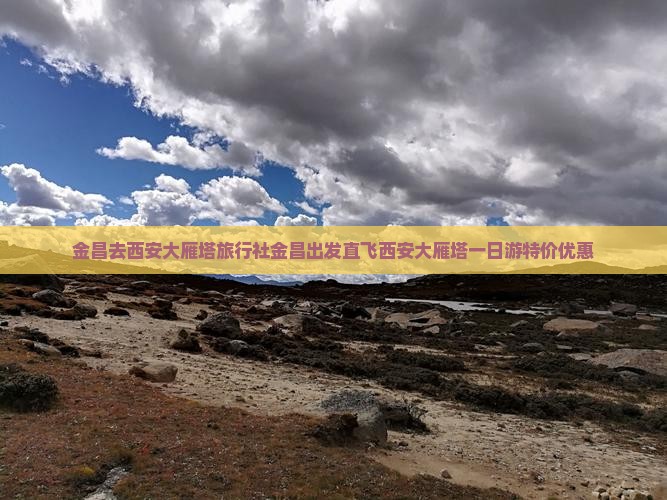 金昌去西安大雁塔旅行社