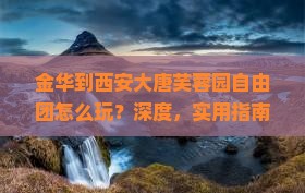 金华到西安大唐芙蓉园自由团