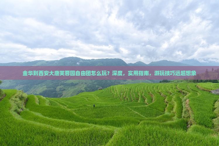 金华到西安大唐芙蓉园自由团