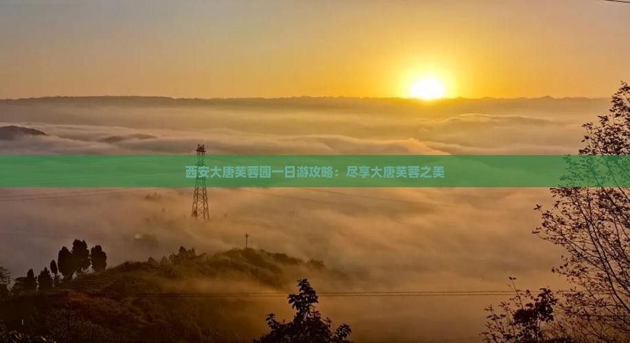阿里去西安大唐芙蓉园一日游