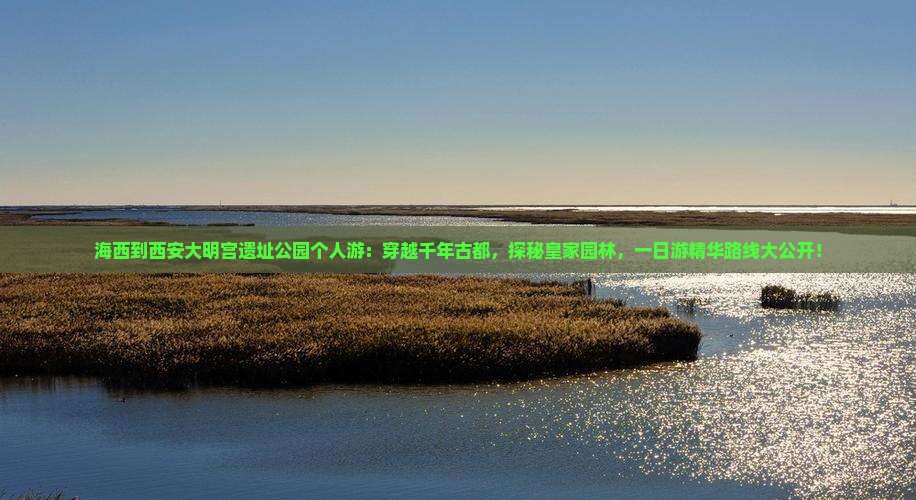 海西到西安大明宫国家遗址公园个人游