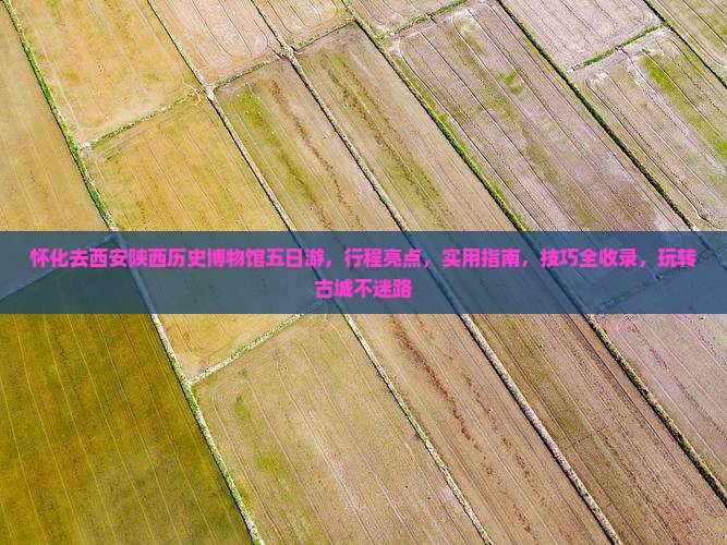 怀化去西安陕西历史博物馆五日游