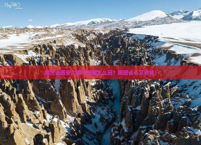 临汾去西安大唐不夜城旅行社