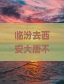 临汾去西安大唐不夜城旅行社