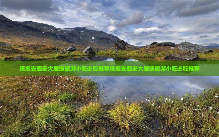 塔城去西安大雁塔旅游小吃