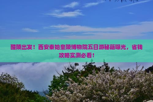 醴陵到西安秦始皇帝陵博物院五日游
