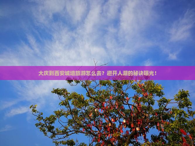 大庆到西安城墙旅游