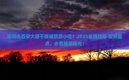 安顺去西安大唐不夜城旅游小吃