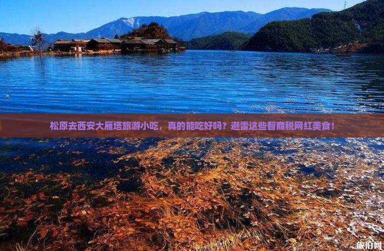 松原去西安大雁塔旅游小吃