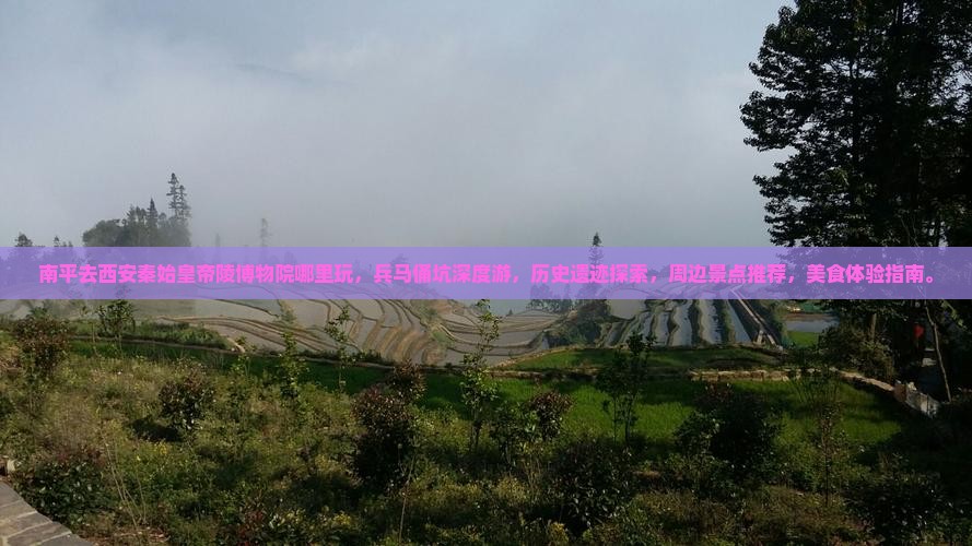 南平去西安秦始皇帝陵博物院哪里玩
