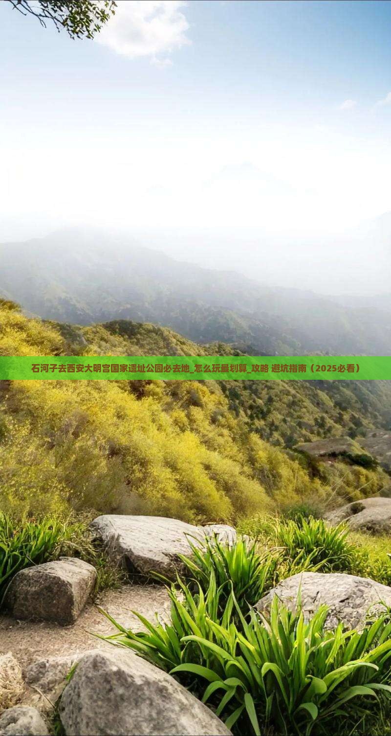 石河子去西安大明宫国家遗址公园必去地