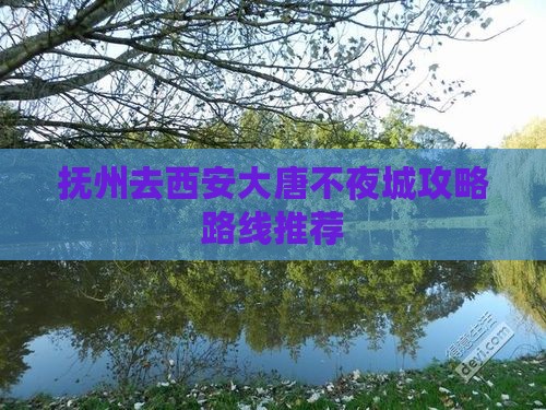 抚州去西安大唐不夜城攻略