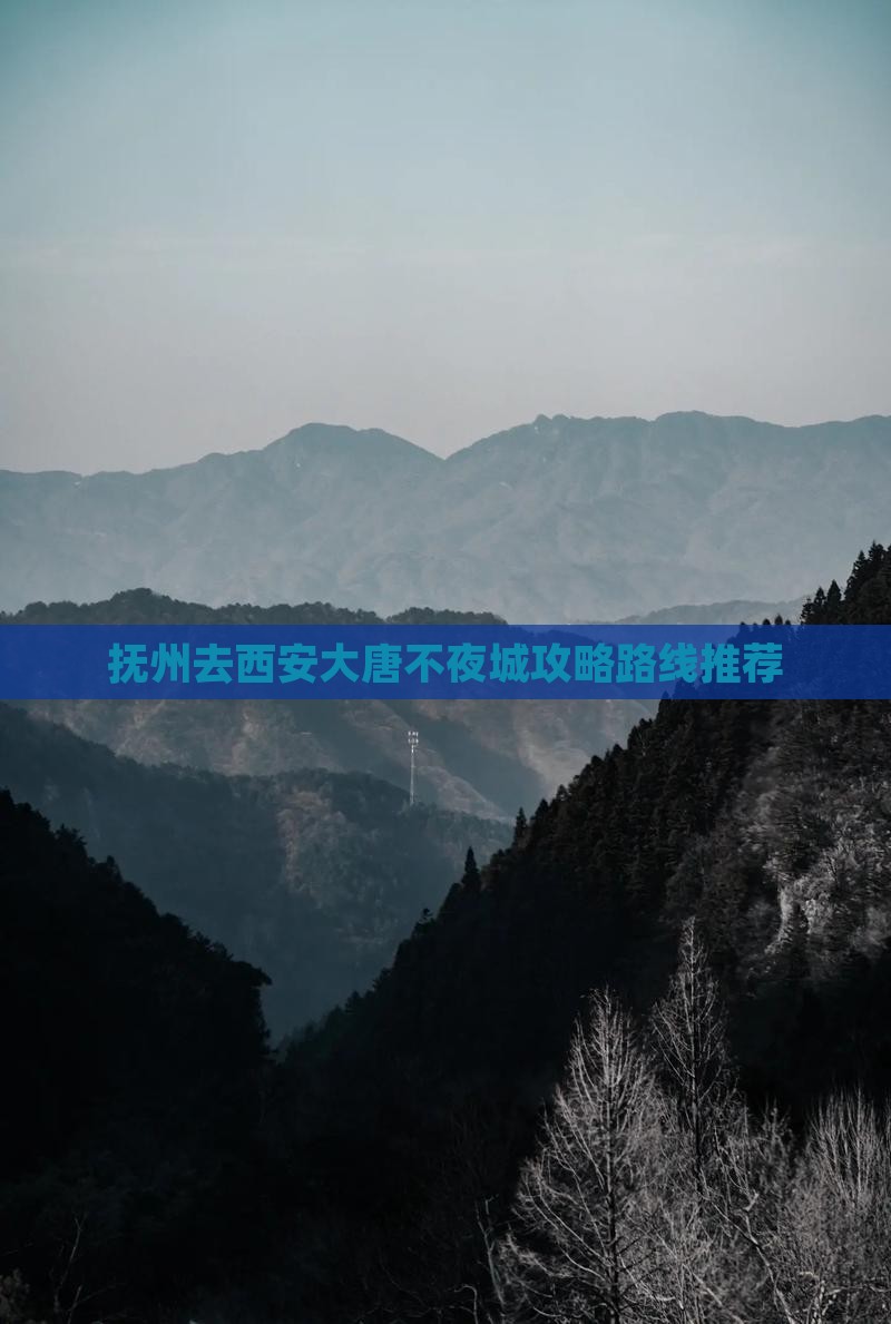 抚州去西安大唐不夜城攻略
