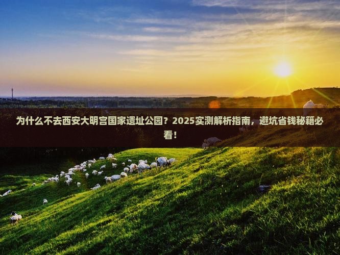 三月到西安大明宫国家遗址公园三日游