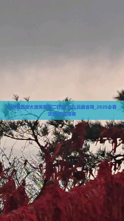 达州去西安大唐芙蓉园二日游
