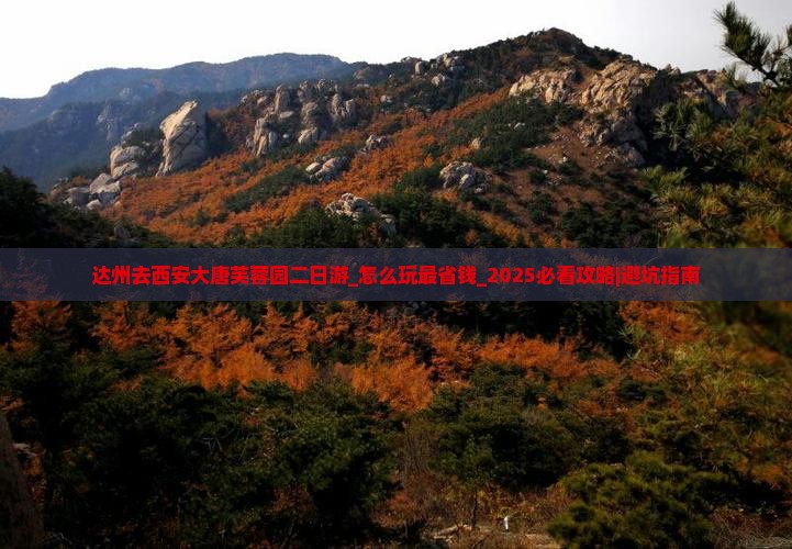 达州去西安大唐芙蓉园二日游